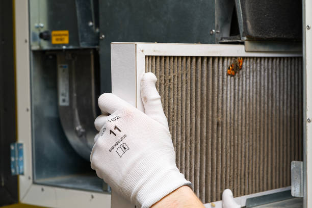 Best HVAC Maintenance and Cleaning  in St Matthews, KY